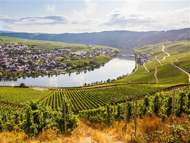 Rhine & Main River Cruise with Swiss Train Journey