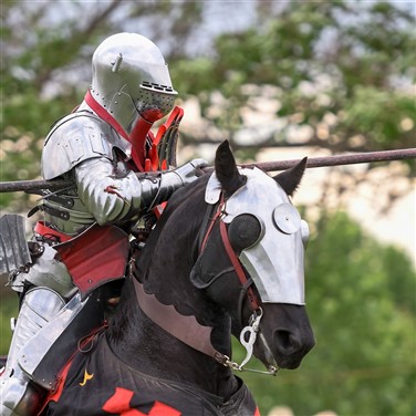 Leeds & Atkinson Action Horses Jousting Tournament